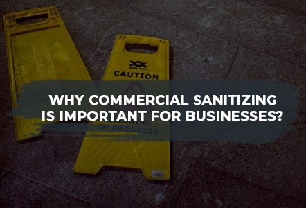 office sanitizing and disinfection services