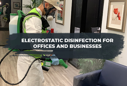 home disinfection service